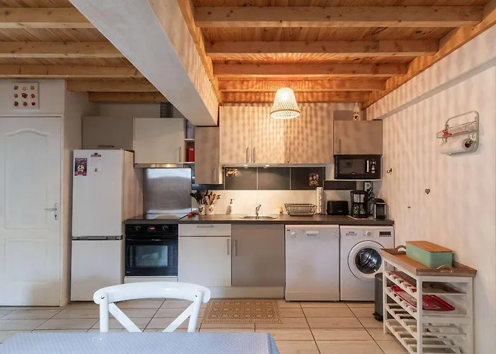 Bergerie Pyreneenne Renovee - 4 - 8 Pers. - Jardin - Stationnement Public - 3 Stations De - Fr-1-402-132